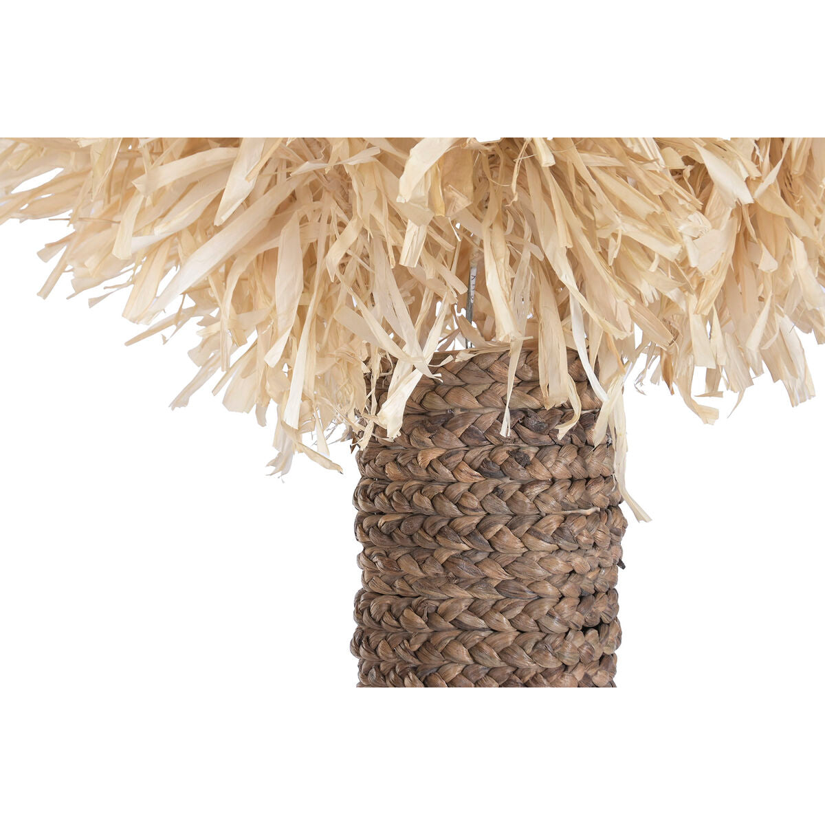 V2HDBE59174503C22E00C50107E3DBE9643R7806887P5