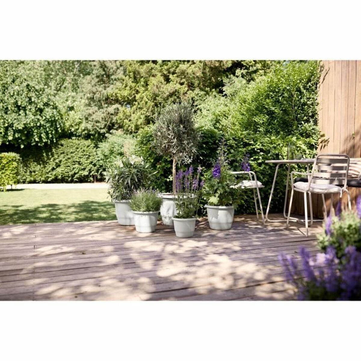 V5HAE9868D594CC1DD74E8E43924AC9F900R5529098P5