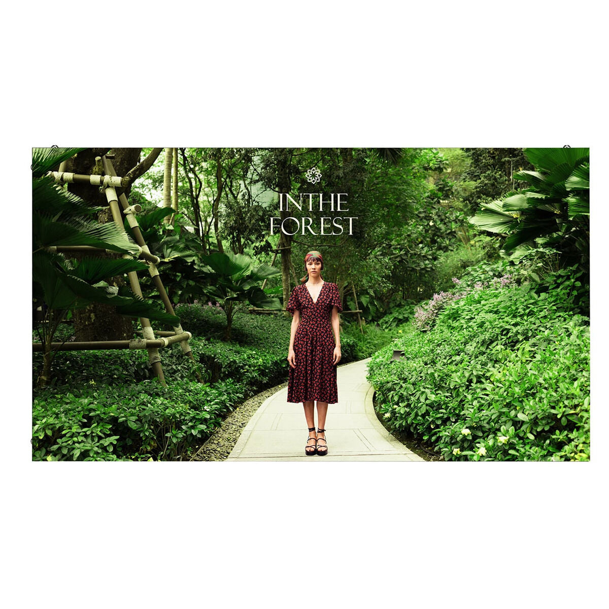 V2HF17CA10DBBE5525A6B30DE19870E5AECR7650732P9