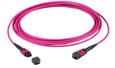 Efb Mtp(f)-mtp(f) Network Cable OM4 12 Fasern Type B Lszh Erika-violeta 2M — image 1