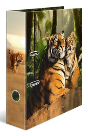 Herma Ring Binder A4 Cartón Tiger