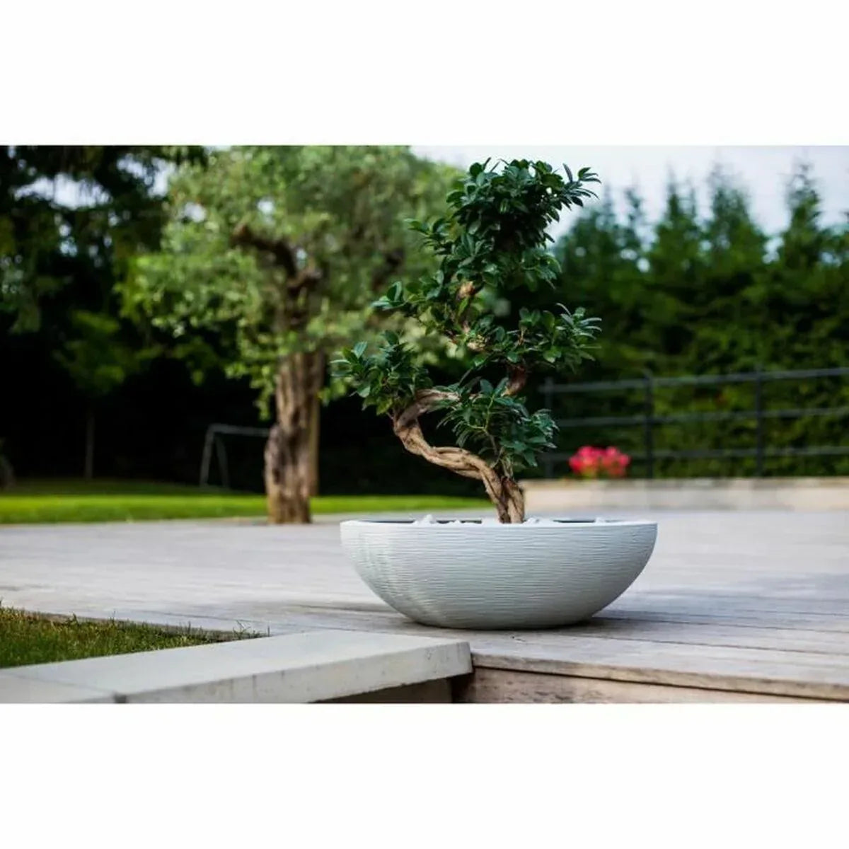 V9H8F7B084A00676515C36A339ACA8F83ACR3441716P4