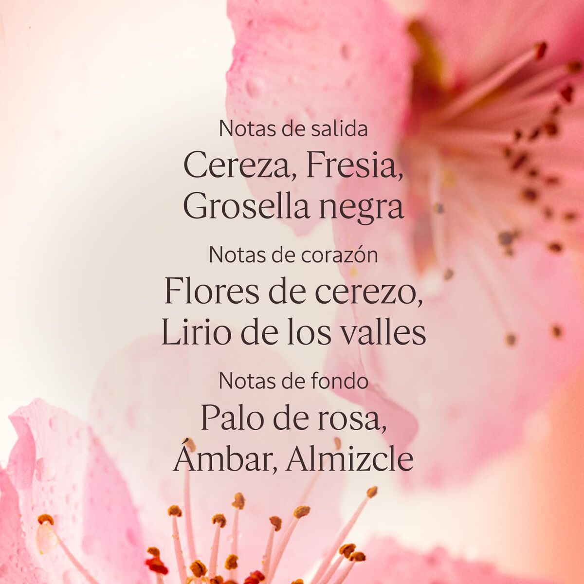 V4H206A9050C818A88AFFF833B27CE6839CR7407083P4