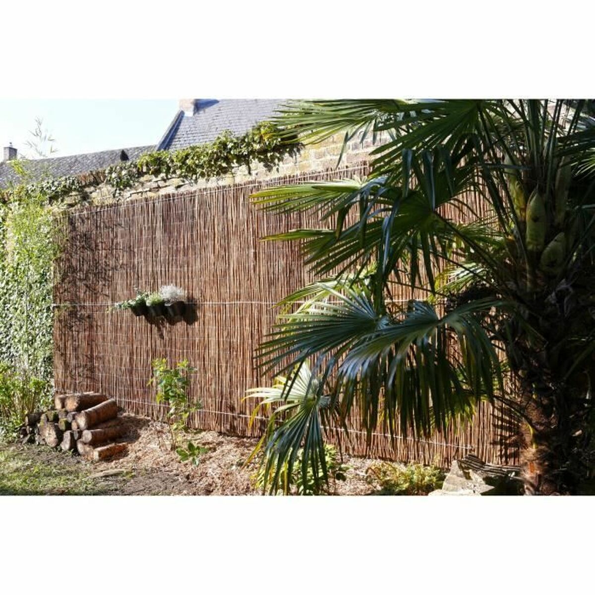 V5H9AA53280D75D49E4B4594B1F4D259904R5781083P2