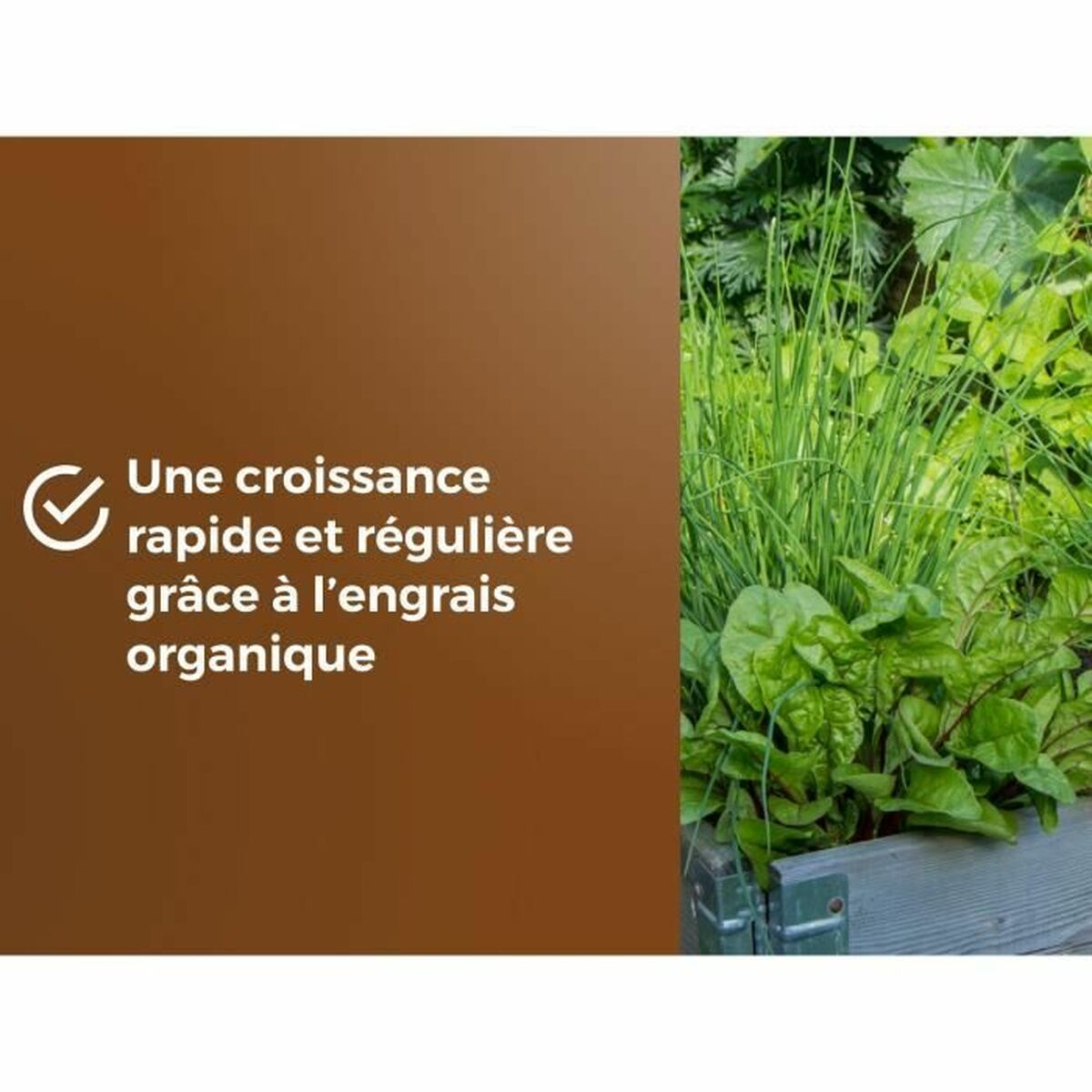 V5H80D46C59EA554F70837508E2E9A3506FR5966238P4