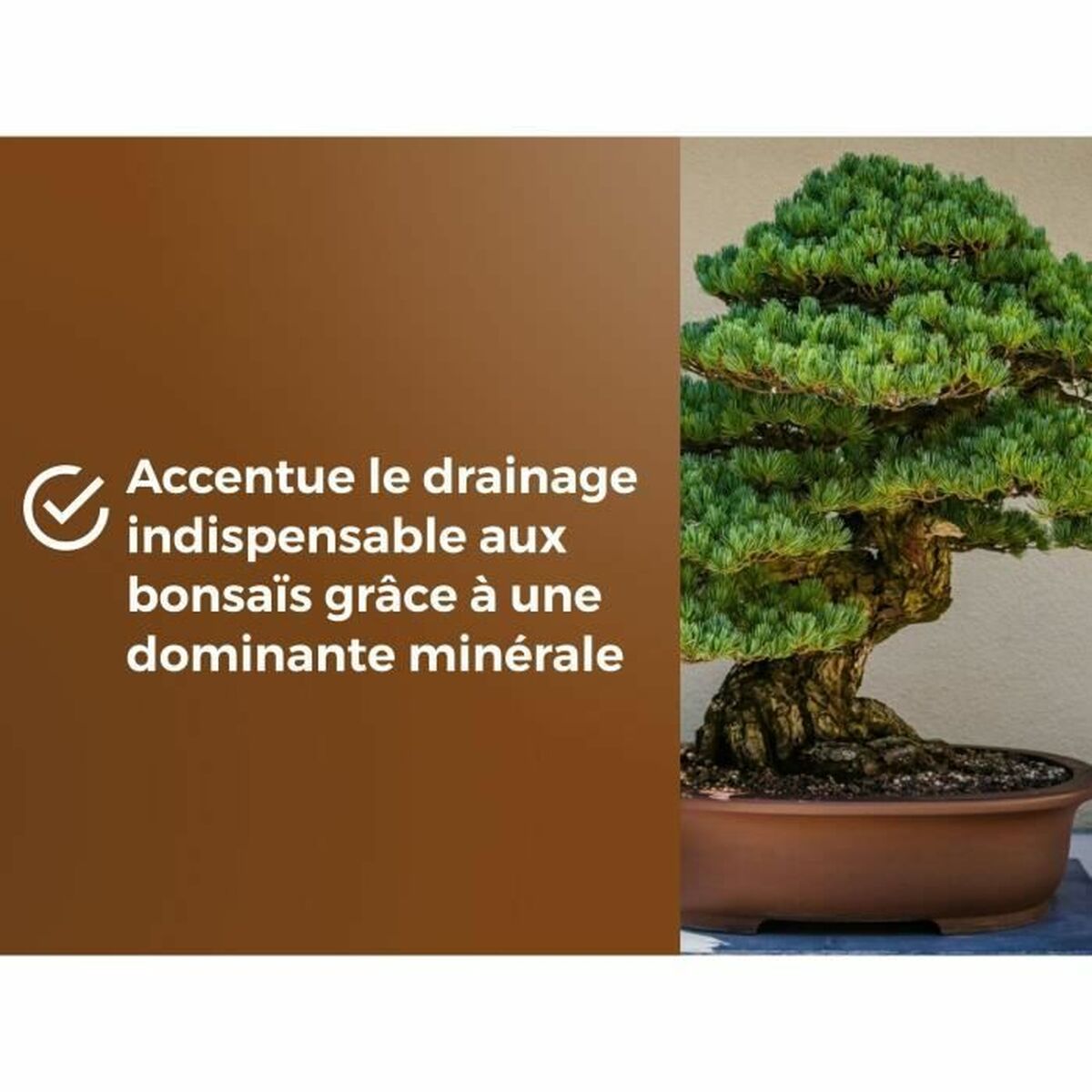 V4H42F2CD65800433196C1EB5F4B5EEA1D7R6736617P4