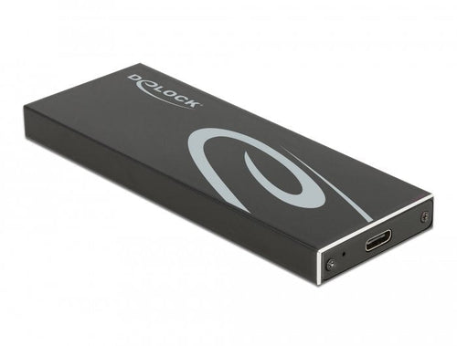Delock External Enclosure M.2 SATA SSD Type-c — image 1