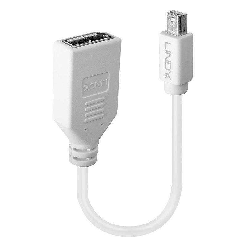 Lindy Adapter Mini-DisplayPort a DisplayPort M / F 0,15M