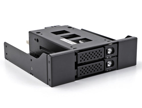 Delock 47011 Panel Bahía Hard Drive 2X 2,5 U.2 NVMe SSD With 5.25 Rahmen — image 1