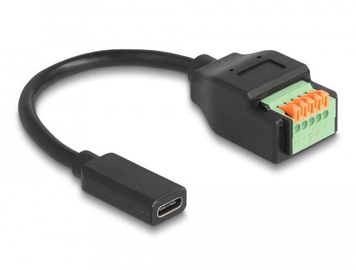 Delock USB 2.0 USB Cable Type-c™ Connector Female a Terminalblock Adapter With Pulsador 15CM — image 1