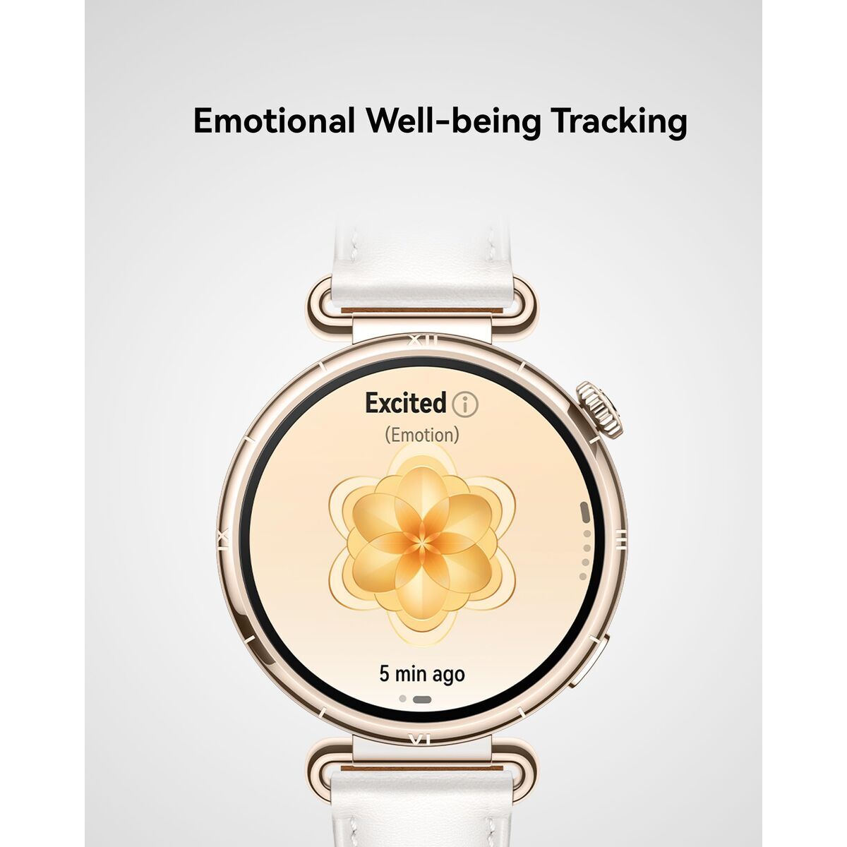 Huawei Smartwatch Huawei Watch Gt 6 Konsu-B19M Golden 1,32"