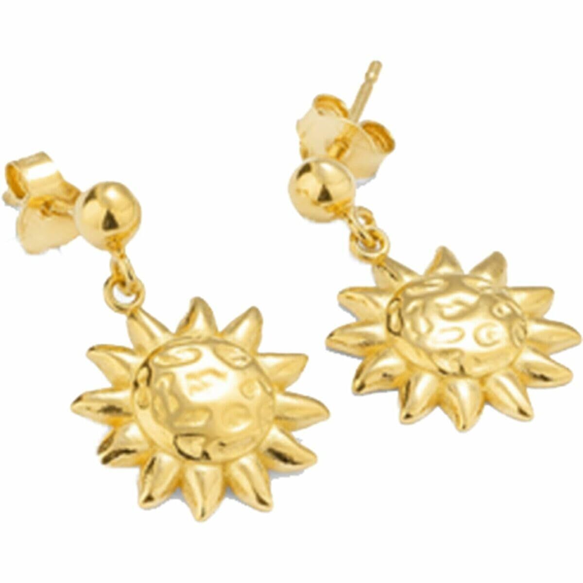 Ladies' Earrings Radiant RY000149