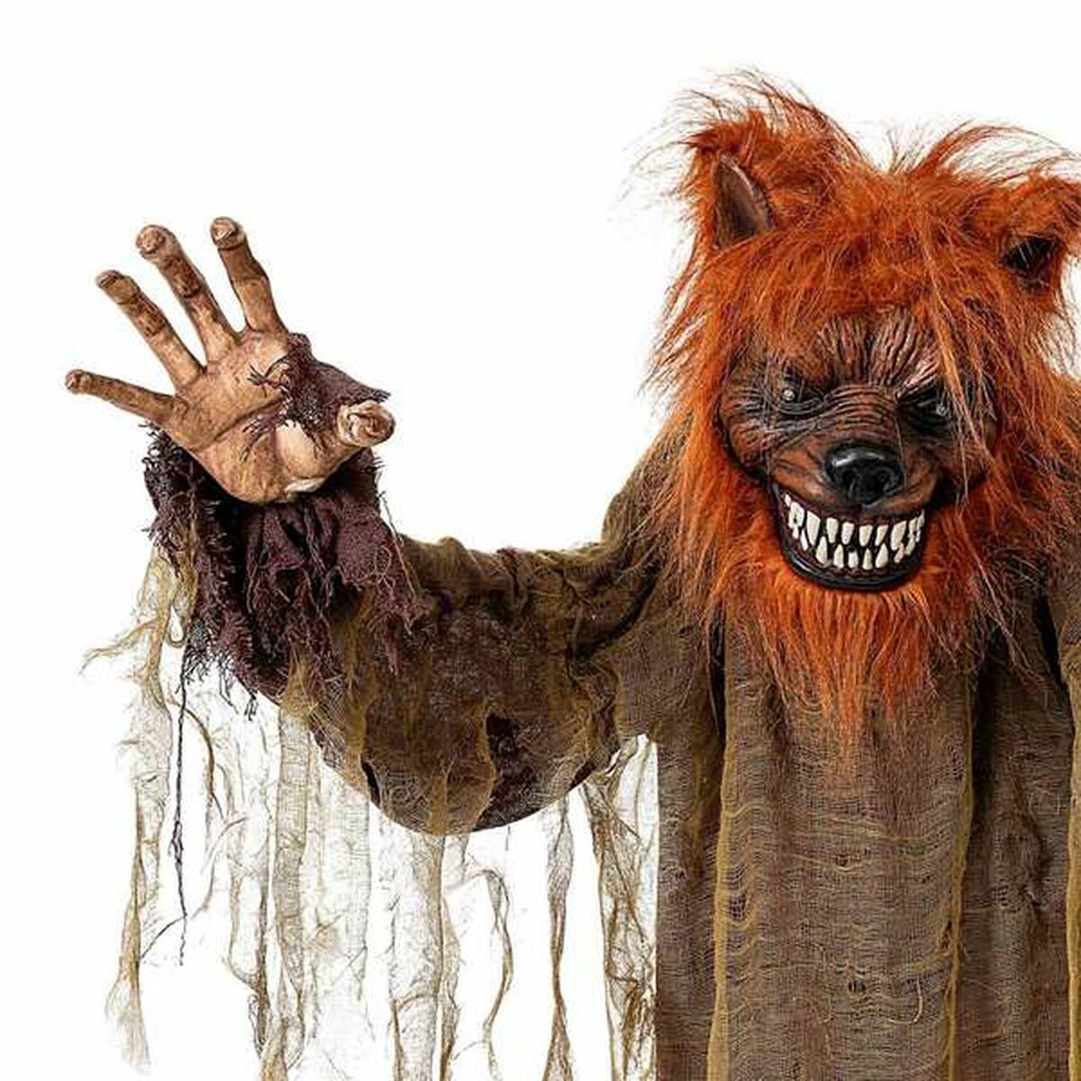 V8H689CCAF623113C0B92E20EB062585858R7079460P3