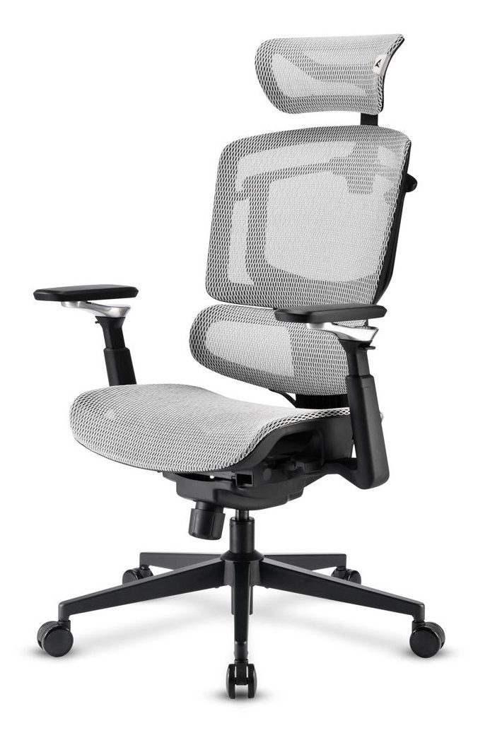 Sharkoon Chair Office Officepal C50M Black