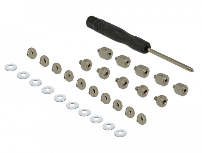 Delock 18288 Set Of Fijación 31 Pieces Módulo SSD / M.2