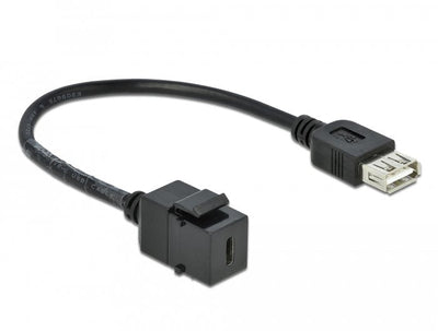 Delock 86384MÓDULO Keystone USB 2.0 C Female USB 2.0A Female With Cable — image 1