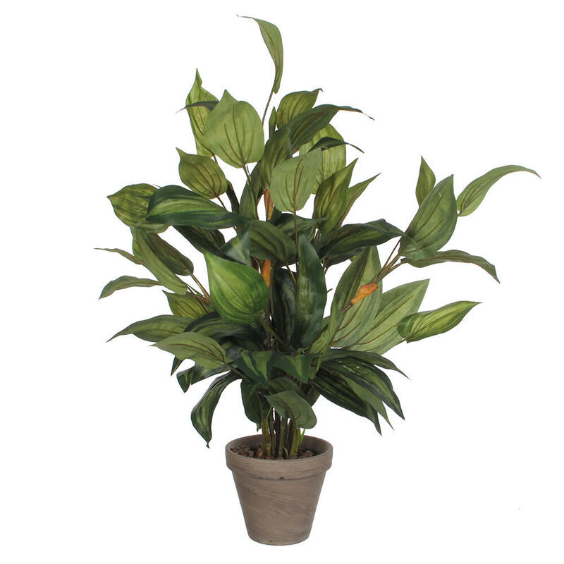 Hosta Green Pvc With Plant Pot Grey