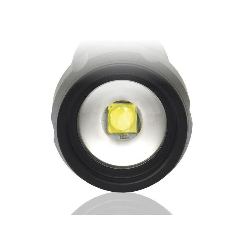 Everactive Linterna LED LED 350 Lúmenes FL300 +